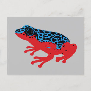 Poison Dart Frog Postcard