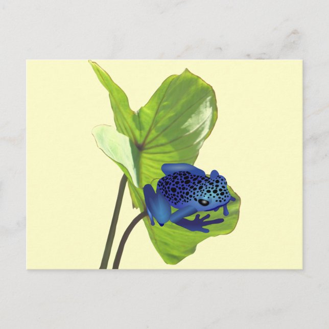 Poison Dart Frog Postcard (Front)