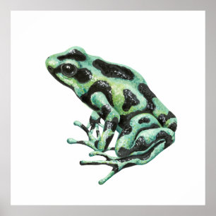 Poison dart frog poster