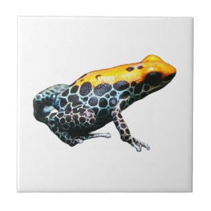 Poison Dart Frog Tile