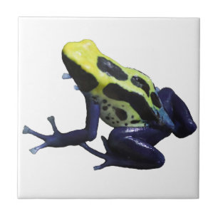 Poison Dart Frog Tile