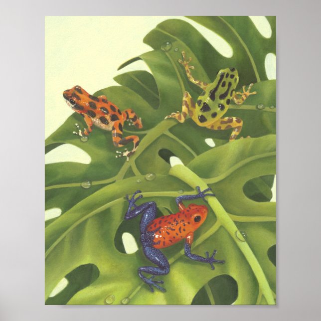 Poison Dart Frogs Poster (Front)