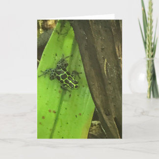 Poison Green Frog Holiday Card
