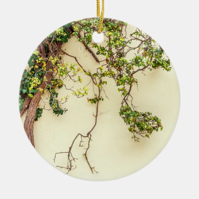 Poison Ivy On A Yellow Wall Ceramic Tree Decoration (Front)