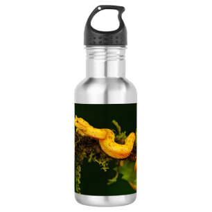 Poison Viper Snake from Costa Rica 532 Ml Water Bottle