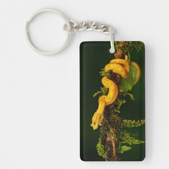 Poison Viper Snake from Costa Rica Key Ring (Front)