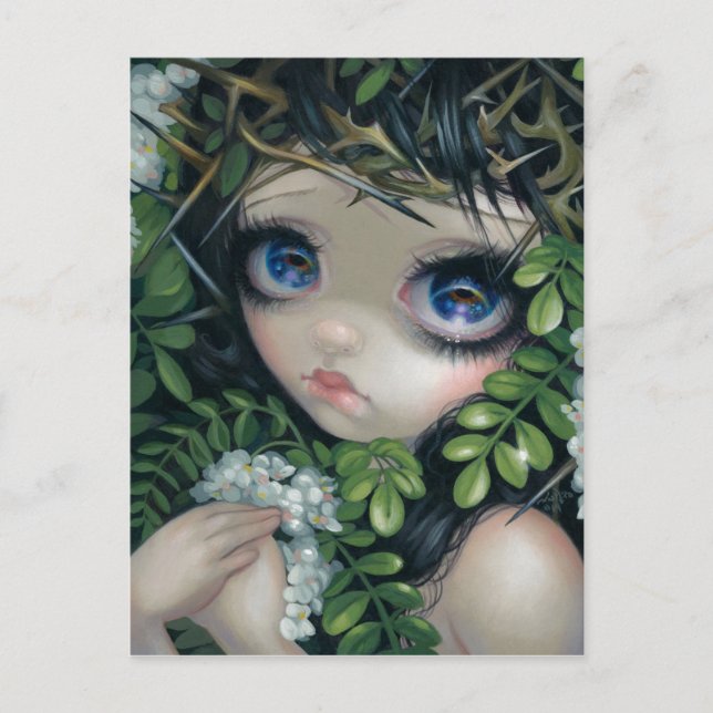 "Poisonous Beauties XII: Black Locust" Postcard (Front)