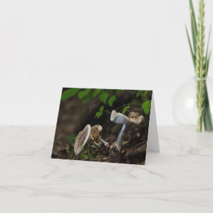 Poisonous Beauty Greeting Card