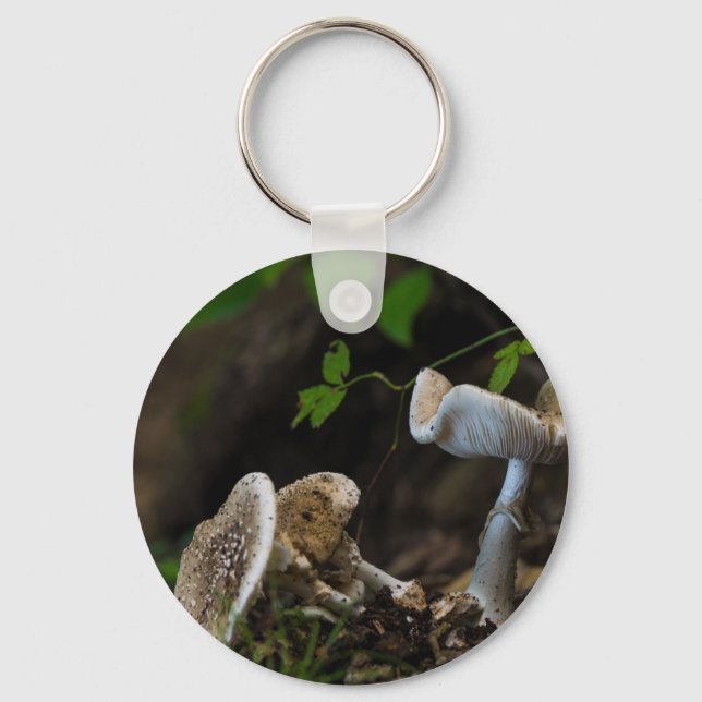 Poisonous Beauty Key Ring (Front)