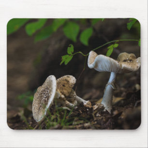 Poisonous Beauty Mouse Mat