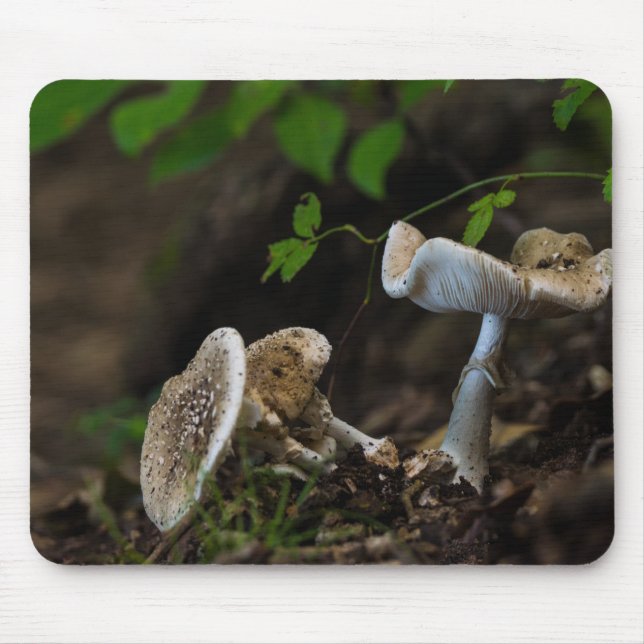 Poisonous Beauty Mouse Mat (Front)