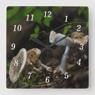Poisonous Beauty Wall Clock