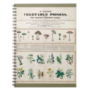 Poisonous mushrooms: Irritating poisons Notebook