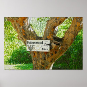 Poisonwood Tree Warning Sign