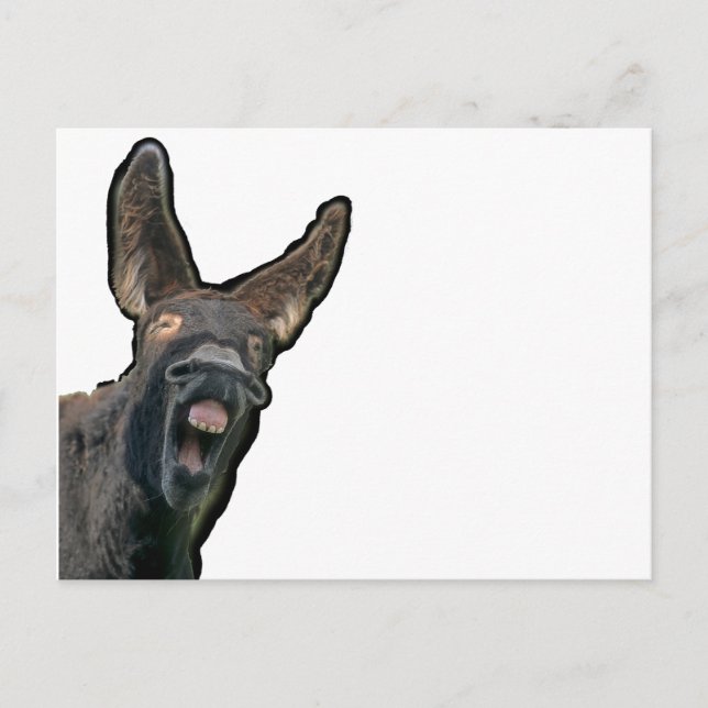 Poitou-Esel Postcard (Front)