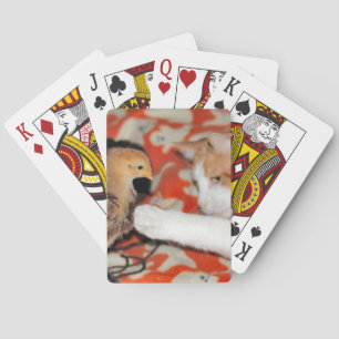 Poke Playing Cards