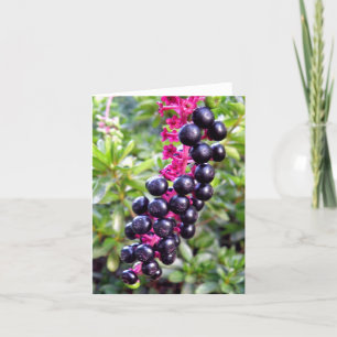 Pokeweed Note Card