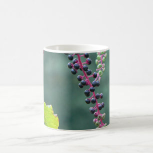 Pokeweed with Ripening Berries Coffee Mug