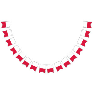 Poland Flag
