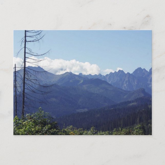 POLAND POSTCARD (Front)