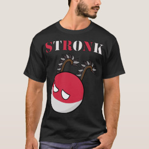 Polandball - Poland Stronk with Hussar Wings   T-Shirt