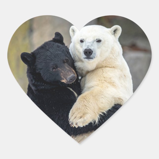 Polar and black bear hugging heart sticker (Front)