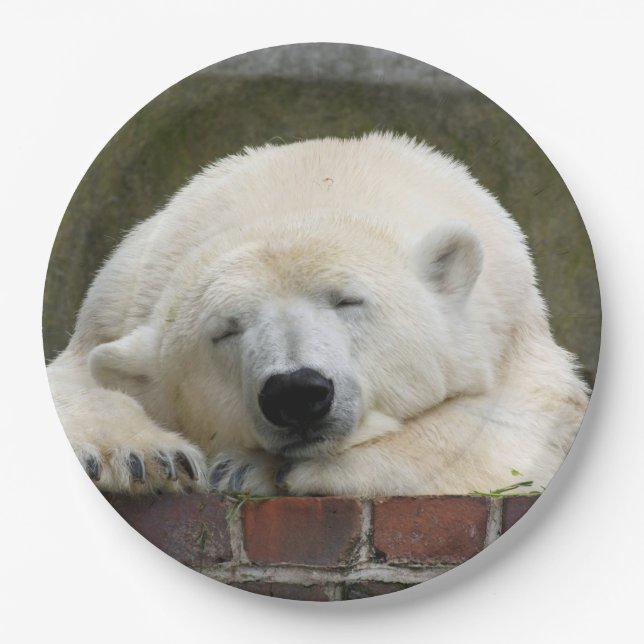 Polar_Bear_2015_0301 Paper Plate (Front)