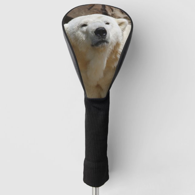 polar bear 519-2 golf head cover (Front)