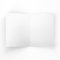 Polar Bear and Cub Greeting Card