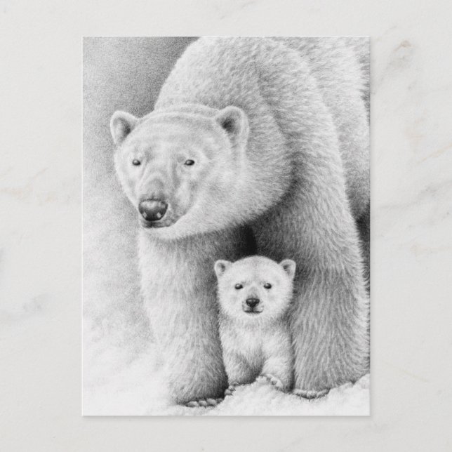 Polar Bear and Cub Postcard (Front)