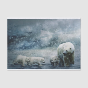 Polar Bear and Cubs Tissue Paper