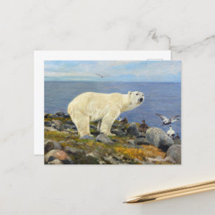 Polar Bear and Eider Ducks on the Coast by Friese Postcard
