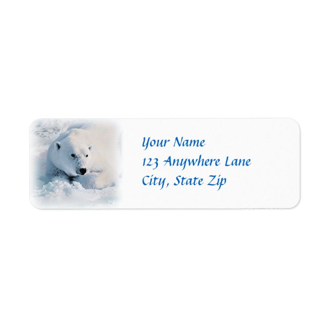 Polar Bear and Snow (Front)