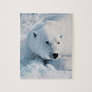 Polar Bear and Snow Jigsaw Puzzle