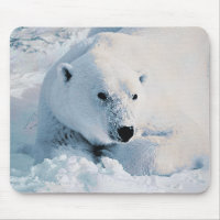 Polar Bear and Snow Mousepad