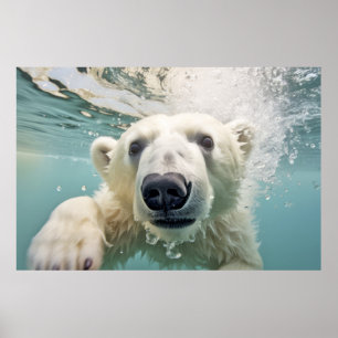 Polar Bear Animal Fun Nature Playing Poster