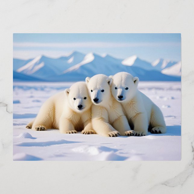 Polar Bear Animal Nature Wildlife Affection Caring Foil Holiday Postcard (Front)