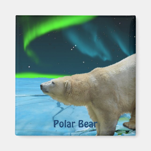 Polar Bear & Aurora Arctic Wildlife Art Magnet (Front)