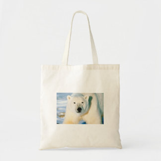 Polar Bear Bag