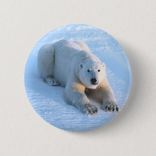 Polar Bear Blue 6 Cm Round Badge