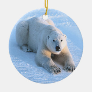 Polar Bear Blue Ceramic Tree Decoration
