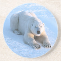 Polar Bear Blue