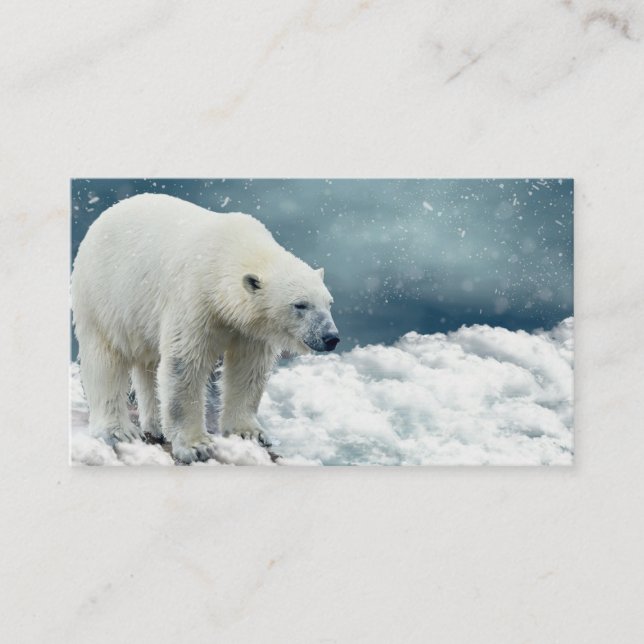 Polar Bear Business Card (Front)