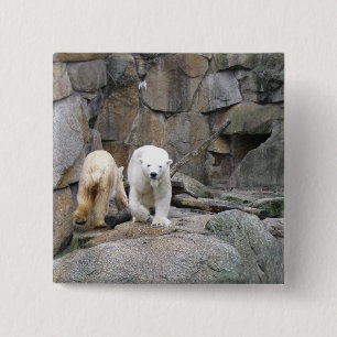 POLAR BEAR button