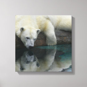 Polar Bear Canvas - Polar Bear Reflections