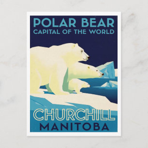 Polar Bear Capital of the World Churchill Manitoba Postcard