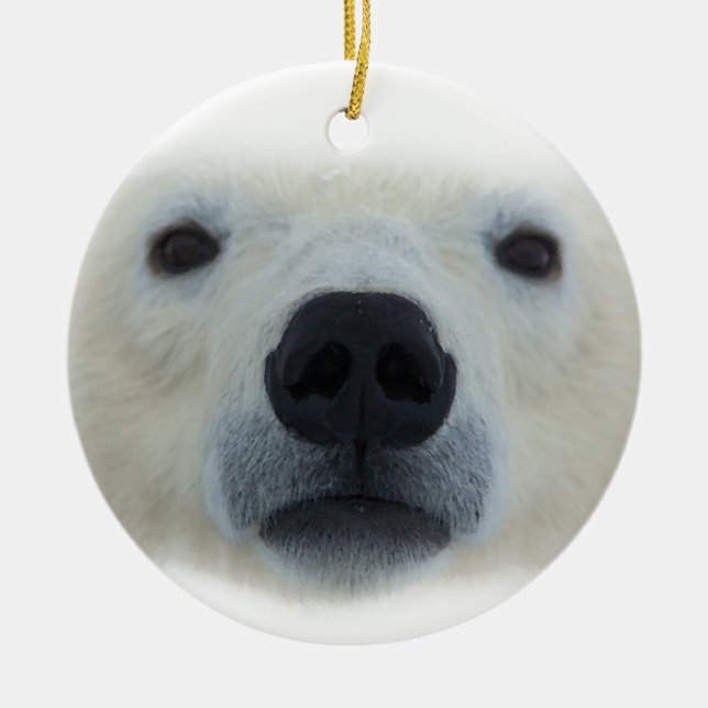 Polar Bear Ceramic Tree Decoration (Front)