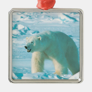 Polar Bear Christmas Ornament