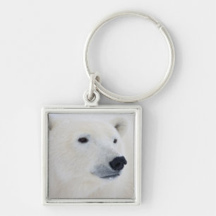 Polar Bear Churchill Key Ring