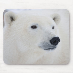 Polar Bear Churchill Mouse Mat